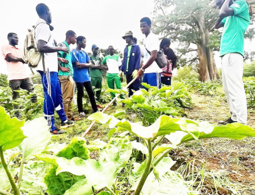 Le Programme des Vacances Agricoles (PVA) : un engagement national pour l’agriculture et la jeunesse.