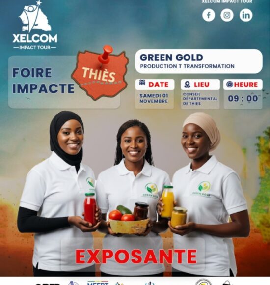 Participation de l’ANPEJ Thiès à la Caravane de l’Emploi « Xelcom Impact Tour »